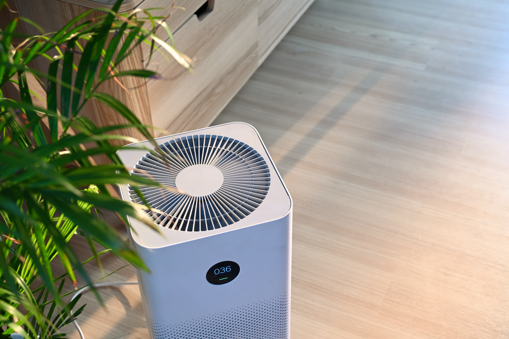 Air purifier in a room surrounded by a plant and a dresser
