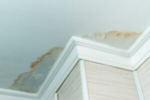 Water leak leaving water marks on a ceiling